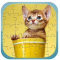 Jigsaw for Cat game Puzzle