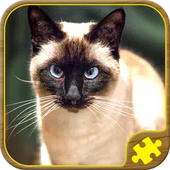 Cat Jigsaw Puzzles XAPK download