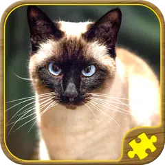 Katzen Puzzle Spiele XAPK Herunterladen