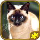 Cat Jigsaw Puzzles آئیکن
