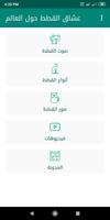 عشاق القطط حول العالم poster