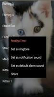 برنامه‌نما Cat Sounds, tones and SMS. عکس از صفحه