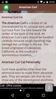 American Curl Cat capture d'écran 2