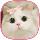 kitten wallpapers - cat images icon