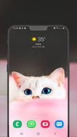 Cute Cats Wallpapers - kitten स्क्रीनशॉट 1