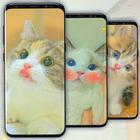 Cats Wallpaper Backgrounds 4K icône