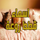 اسماء قطط روعة APK