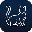 Cats Wallpapers & Backgrounds APK