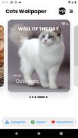 Cats Wallpapers & Backgrounds Ekran Görüntüsü 1