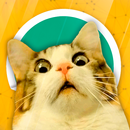 CatSticker - Cats Stickers App APK