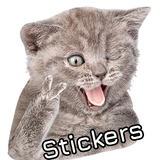 WASticker: Cat Stickers APK