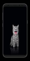 Cute Cats Wallpapers 4K screenshot 2