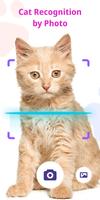 Cat Recognition by Photo bài đăng