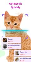 Cat Recognition by Photo ảnh chụp màn hình 3