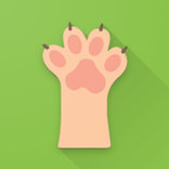 Cat Images and Facts