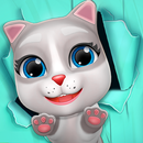 Acidente de Gatinho-Simulador APK