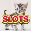 Cats Lovers Slots