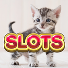 Cats Lovers Slots icône