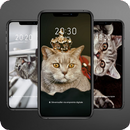 Cats Make Me Smily Wallpaper APK