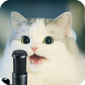 100+Cat Sound Ringtone