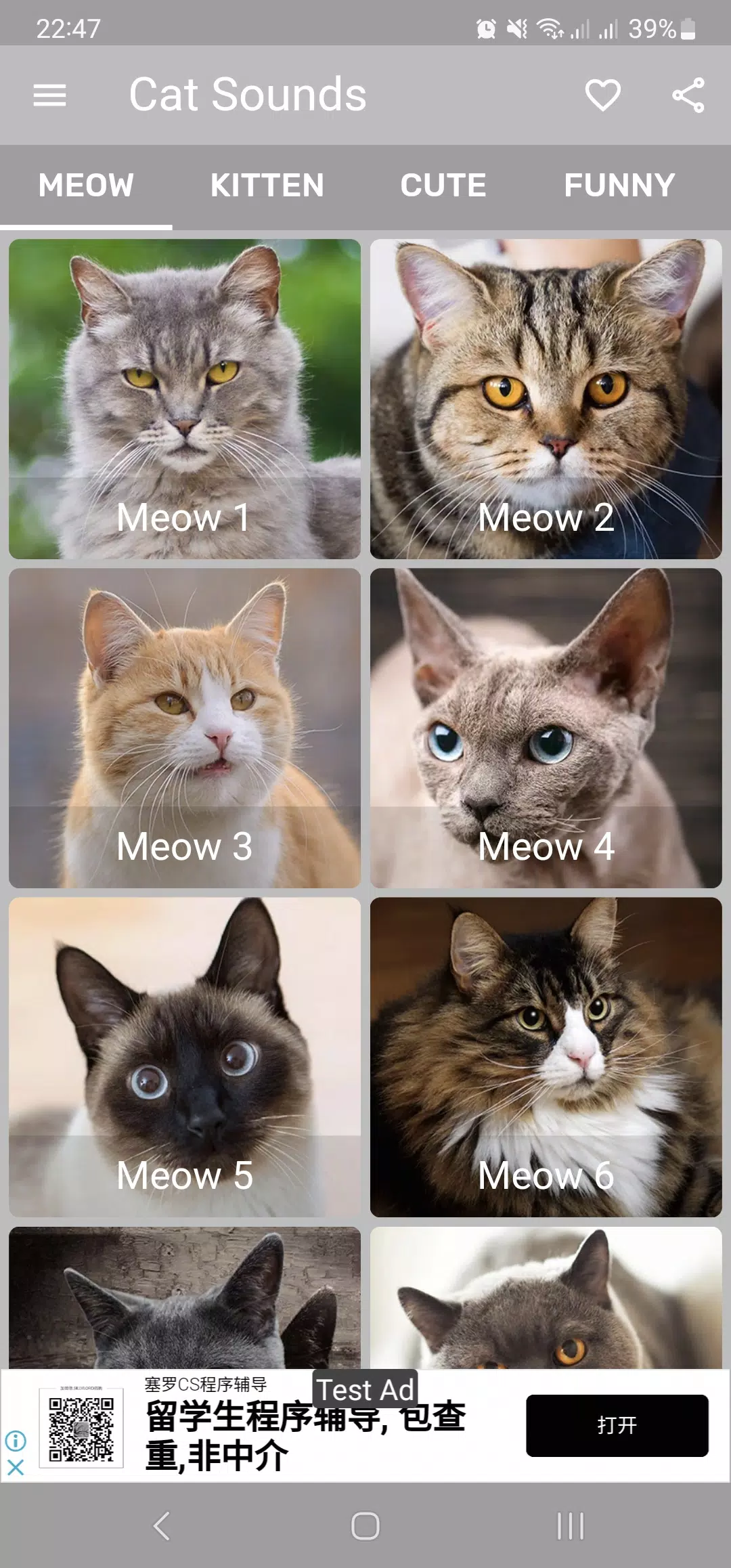 Cat Meow Sounds Kitten Meowing for Android - Free App Download