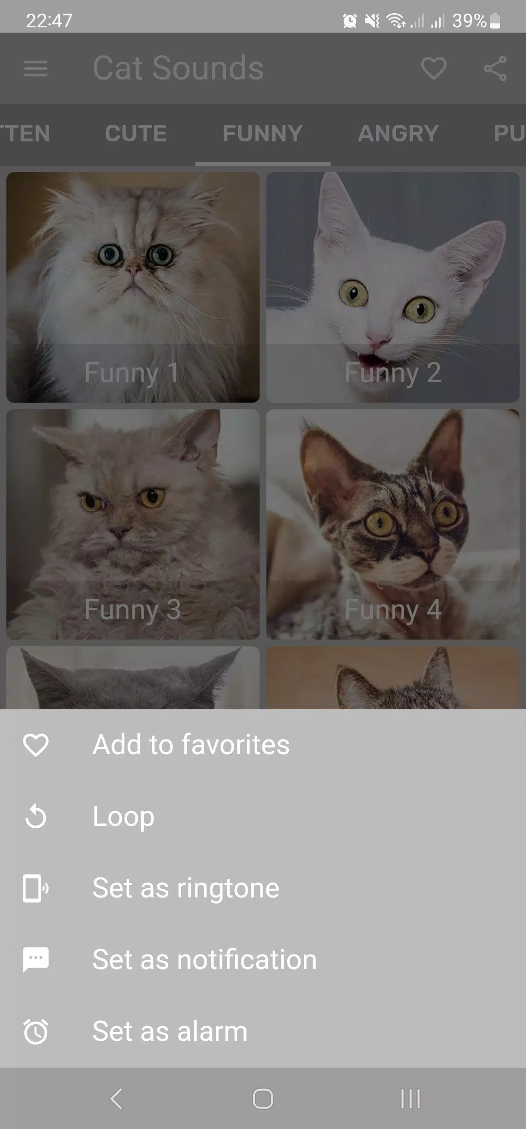 Cat Meow Sounds Kitten Meowing for Android - Free App Download