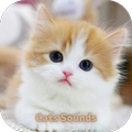 Cats sounds
