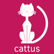 ”Cattus: Learn Latin