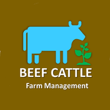 Beef​ Cattle Farm Management -
