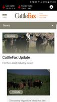 CattleFax Affiche