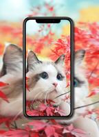 Katten Achtergronden screenshot 1