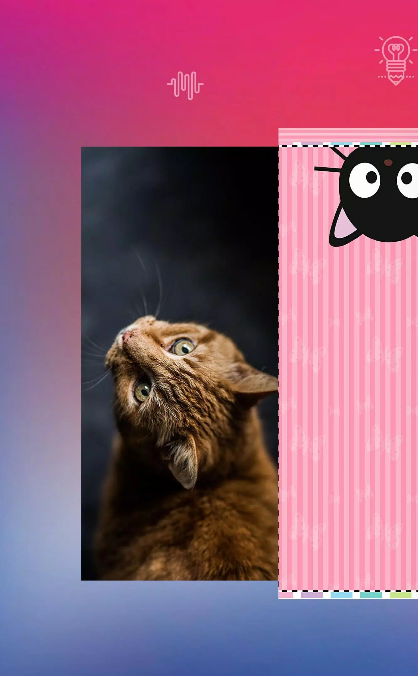 Android용 고양이 배경 화면-+1000 배경 화면 Apk 다운로드