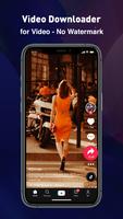 TT Video Downloader Cartaz