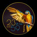 CC Nature 01 APK