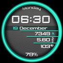 CC Digital 09 Watch Face APK