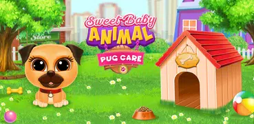 Pug Care Puppy Pet Baby Dog Daycare