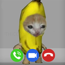 Banana Cat Fake Call Meme APK