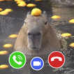 Capybara Funny Fake Call