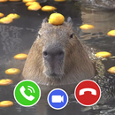 Capybara Funny Fake Call APK