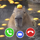 Capybara Funny Fake Call icône