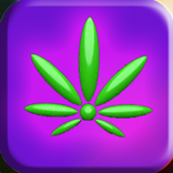 Budtender: LA Green Believers