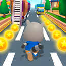 Raccoon Run Game  لعبة الجري APK