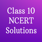 Class 10 NCERT Solutions simgesi