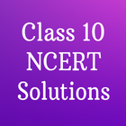 Class 10 NCERT Solutions icon