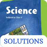 Class 6 Science NCERT Solution icon