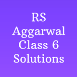 RS Aggarwal Class 6 Solution Zeichen