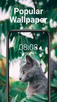 SuperWallpaper โปสเตอร์