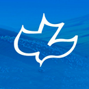 Calvary Chapel Audio Teachings-APK