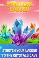 Stretchy Ladders Game 20224 poster