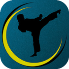Movement Karate Tutorial ícone